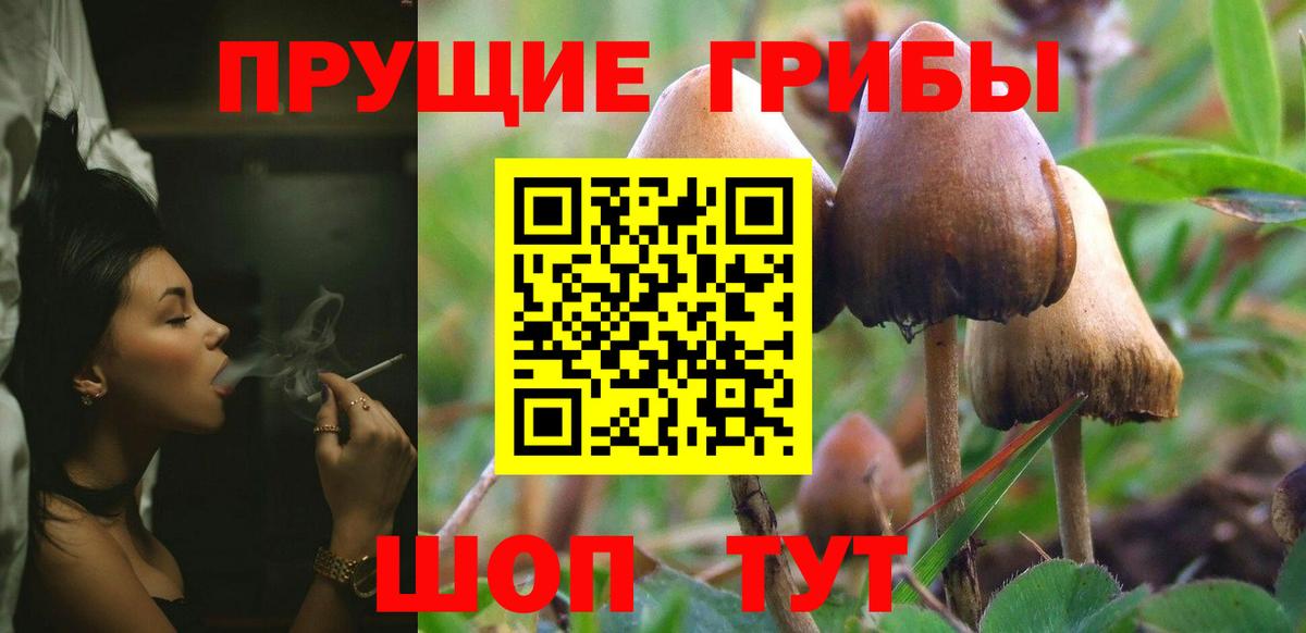 Псилоцибиновые грибы ЛСД  Вход с VPN  Кимовск 